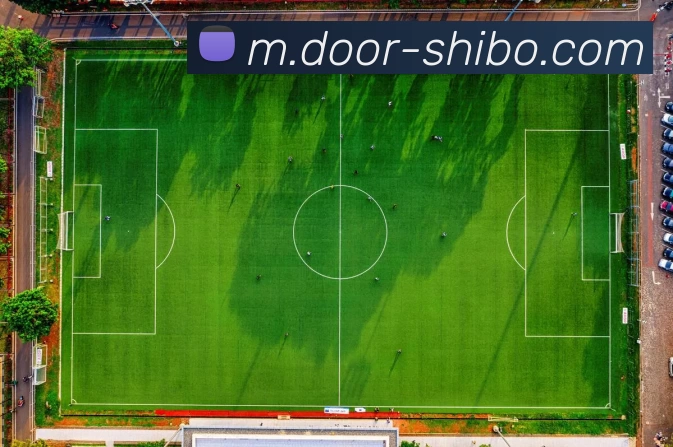 App Interface Preview