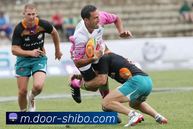 世博体育APP 封面图